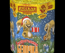 СпецСалют 49