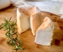 Сырный сомелье 